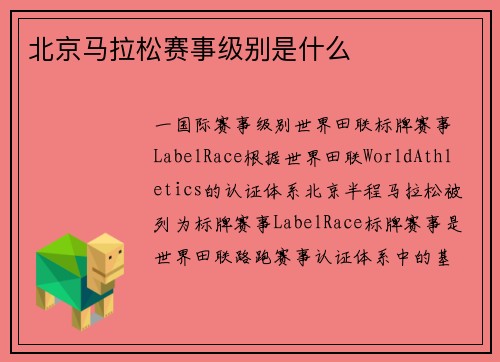 北京马拉松赛事级别是什么